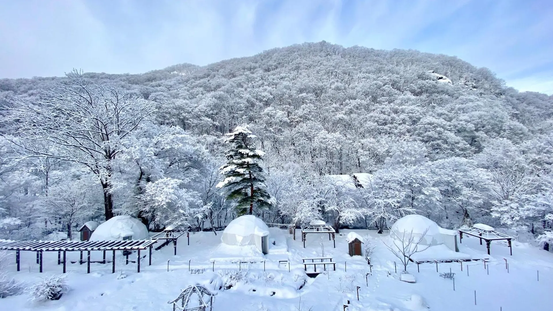 ラグジュアリーテント Glampark Otaru Hanaemi Hokkaido